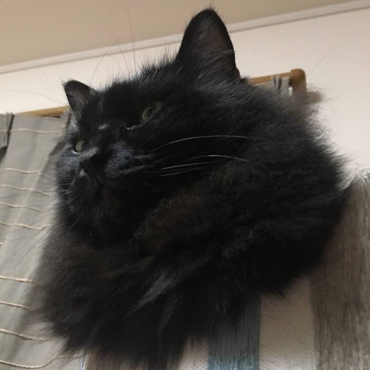 A595d1f3 ded9 47f9 890b bc654e336e80 1574161498936