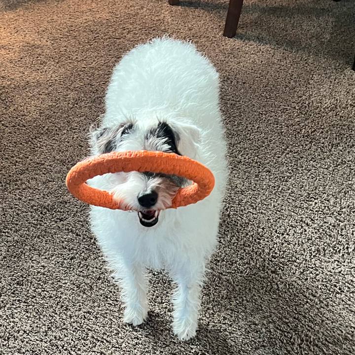 A595d522 d62b 4e59 9bed 1927825da105 1705271462641