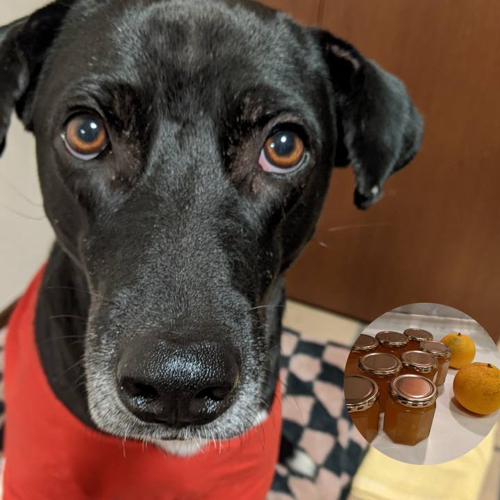 A595ffca b917 4dc9 a6d4 d3024c9b3811 1641813091222