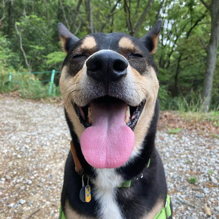 A596064d 57c9 48c3 a2b2 afe3cede0800 1588671520082