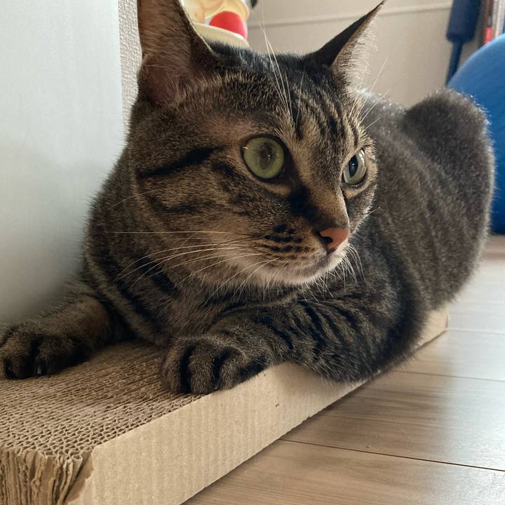 A5960be1 ece8 4f66 81d4 9943155c43eb 1624576649726