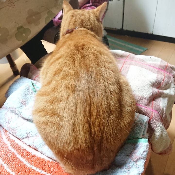 A5962d29 b2a4 487f 8381 9efdcc0df617 1605944145627