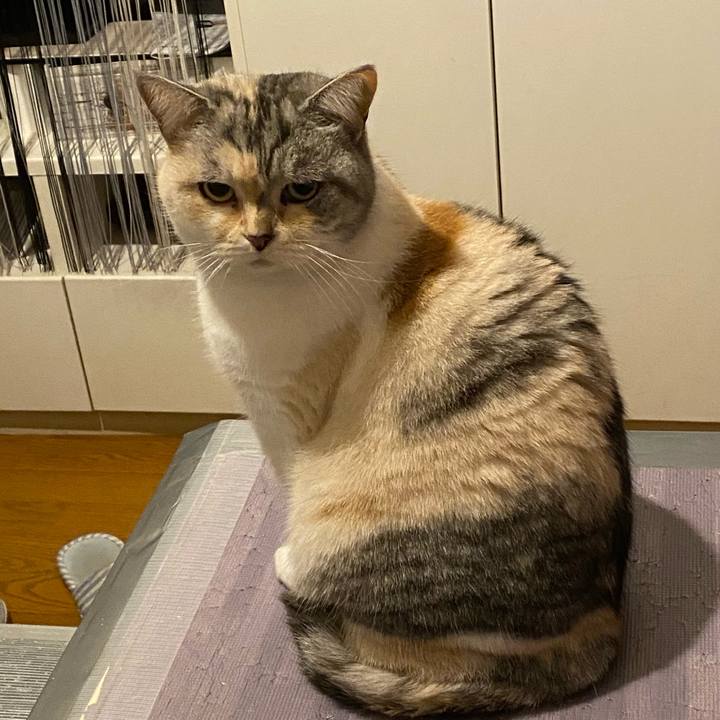 A596342d e1cc 49b8 883f e89791ad783d 1672145633935