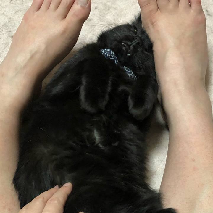 A5963fb6 5f90 4383 aa5e 94907a145dfa 1559644178885