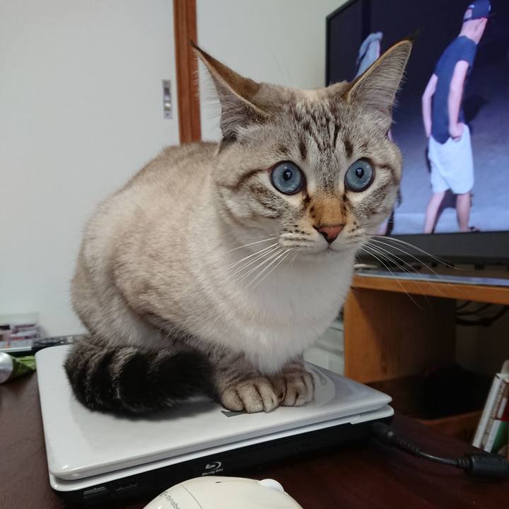 A59650f0 c30a 49e8 92a5 cbaab263a11c 1574483482417