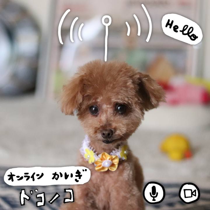 A5966e4c 45c7 4cd8 a9a2 e901e4128a45 1590825622564