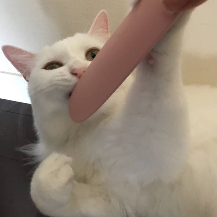 A59678cd aece 4d5e b111 34ef1ab006f5 1538797909528