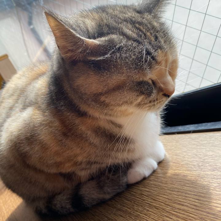 A5969fa3 7781 478f b1a0 d16269e20f35 1585017817387