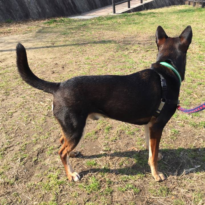 A596a1b4 568e 4846 b9f3 bb29a3630a9f 1520825944807