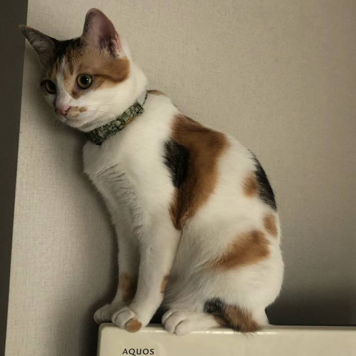 A596a967 cd4f 4d99 883f 32ffeb4d9e2d 1595564310551