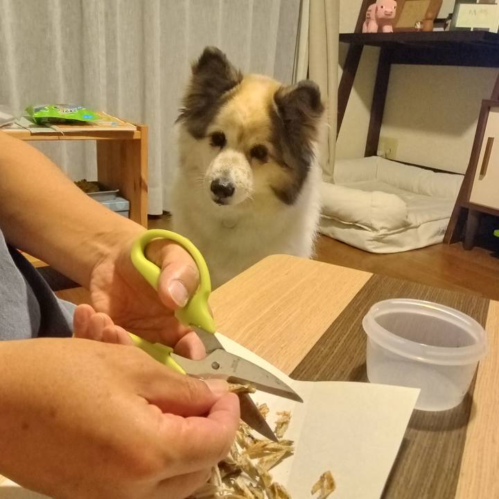 A596d502 0b27 4e7a 9d29 481eae85f2e7 1683114125241