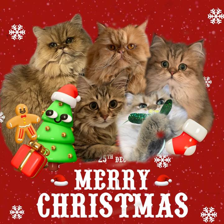 A596ec50 2a20 4504 81d3 8569d4507b5a 1671642808204