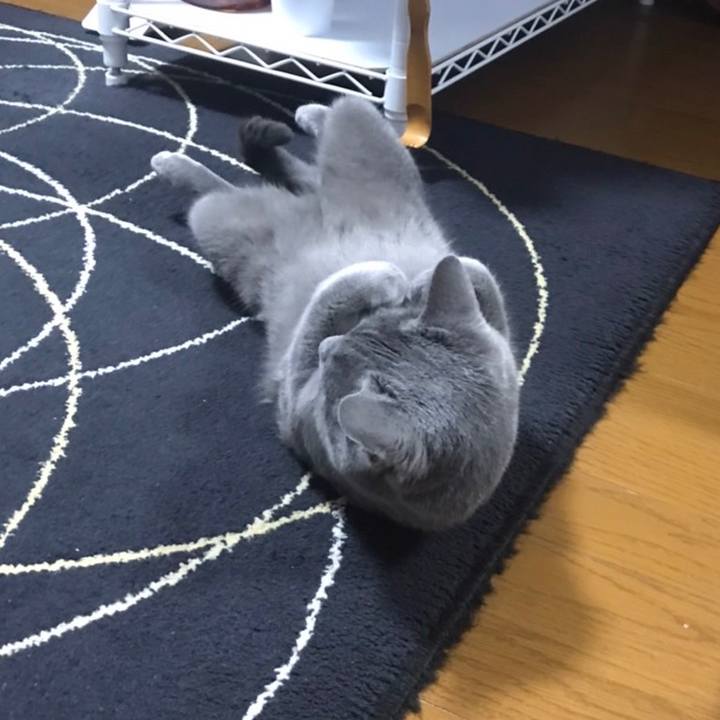 A596fa08 e734 42b9 ac38 73da5f50dc84 1648422733751