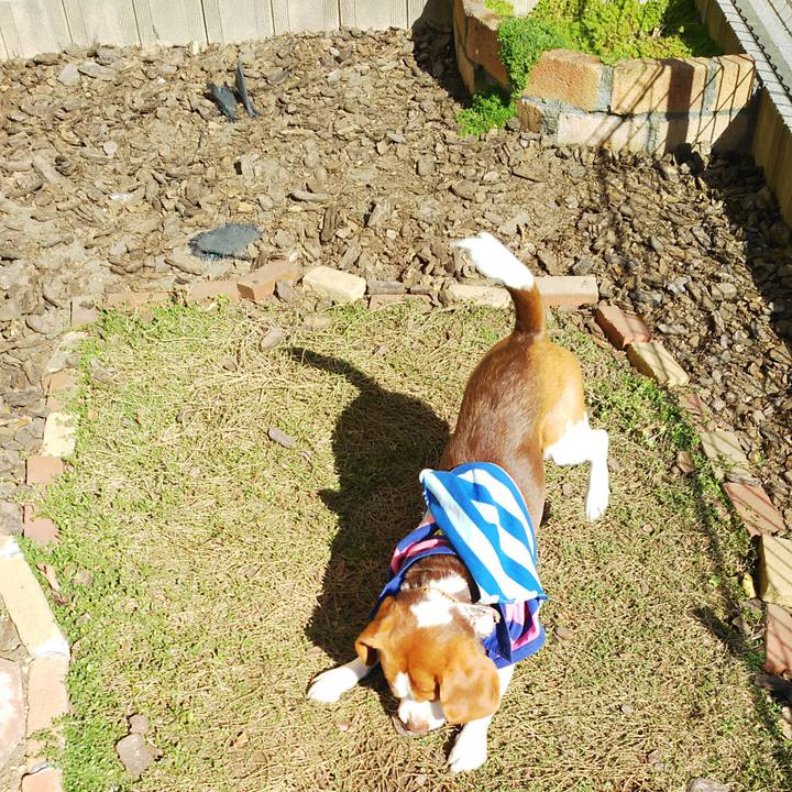 A59705a4 9523 4666 ae89 f7cac0e18c2d 1585037723264