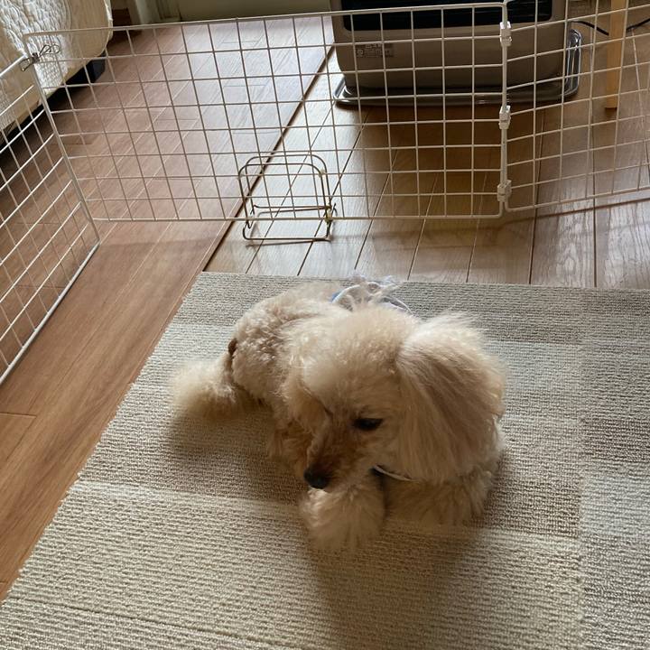 A5971523 68bb 477d a9d4 94c0b32b1260 1640600748386