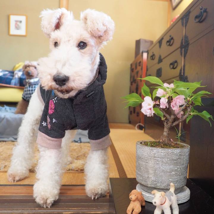 A5973244 37d5 433e b801 7d6eafe9ac3c 1613194823525