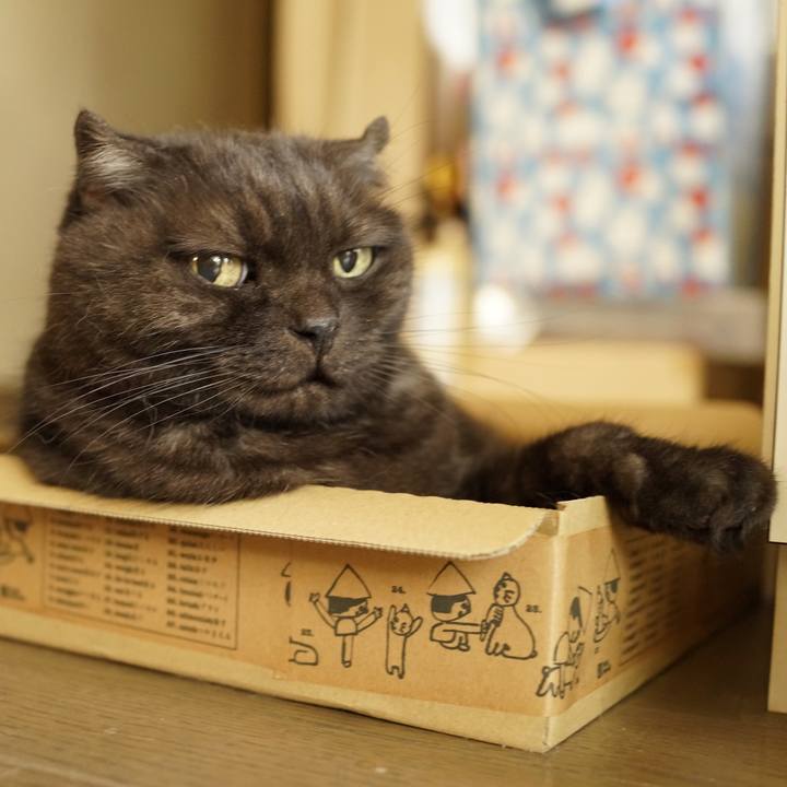 A597538d dad9 4498 a1d6 ec708065a6b4 1629964598209