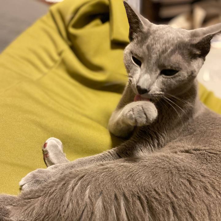 A5979da9 965a 4c22 a7f8 07ee258702c9 1681557348086