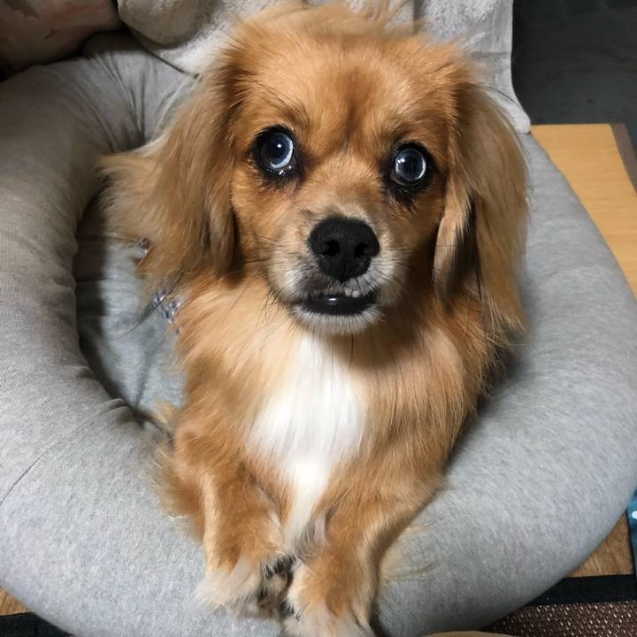 A597dc47 adb1 4fa6 8744 38ec71dd4267 1535580421561