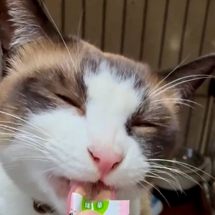 A597dcef 68a6 493c a42c 87e2be590a45 1753708502508