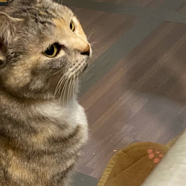 A597f083 1ce9 4a25 b792 33ef25fef161 1643295613040