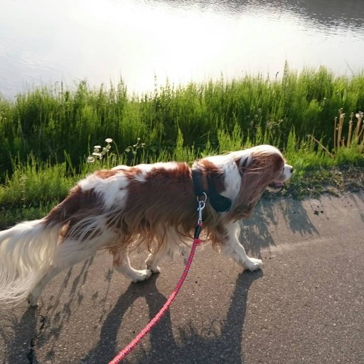 A598334a 0a70 486f 9e99 4b6674019aa8 1557562560101