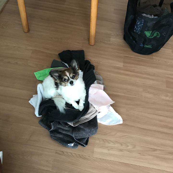 A5983b93 3837 4c84 96d6 ff660ac7a0b8 1519867732418