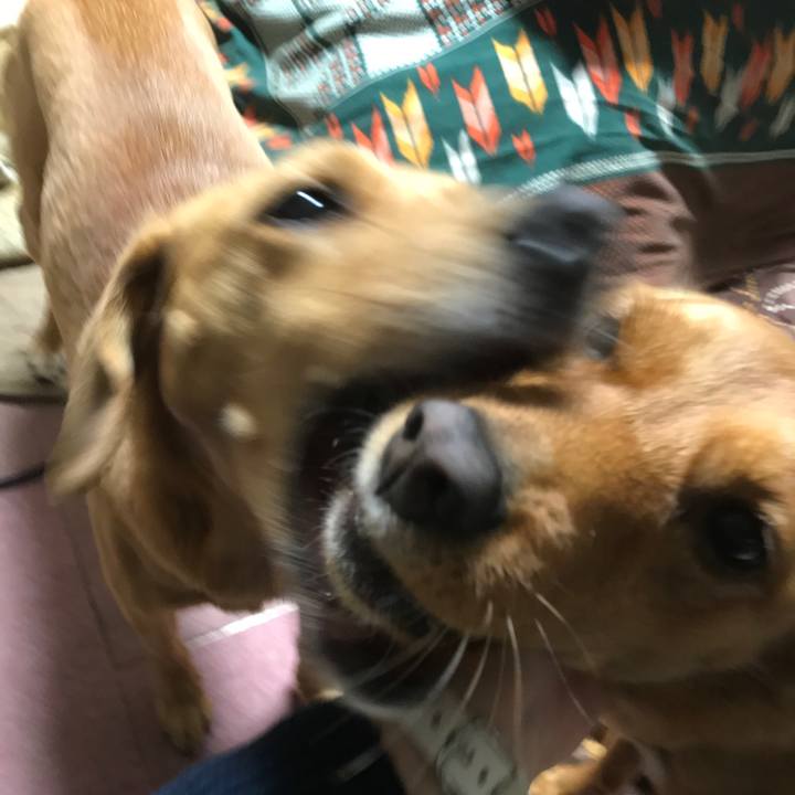 A59848e8 b54c 4134 aca0 6704f3feadcb 1620144871203