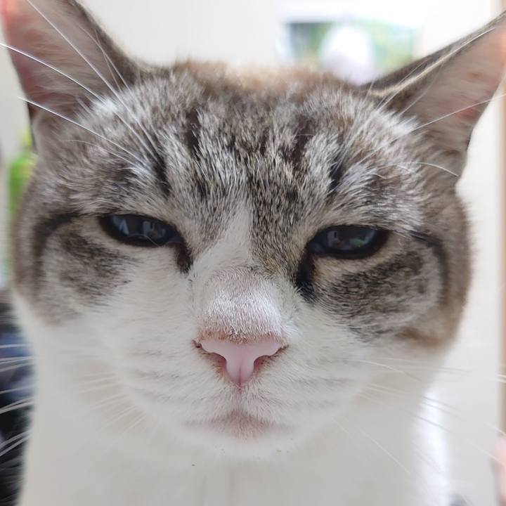 A598dbb9 ef4d 4891 b631 57f2dc884166 1655117552270