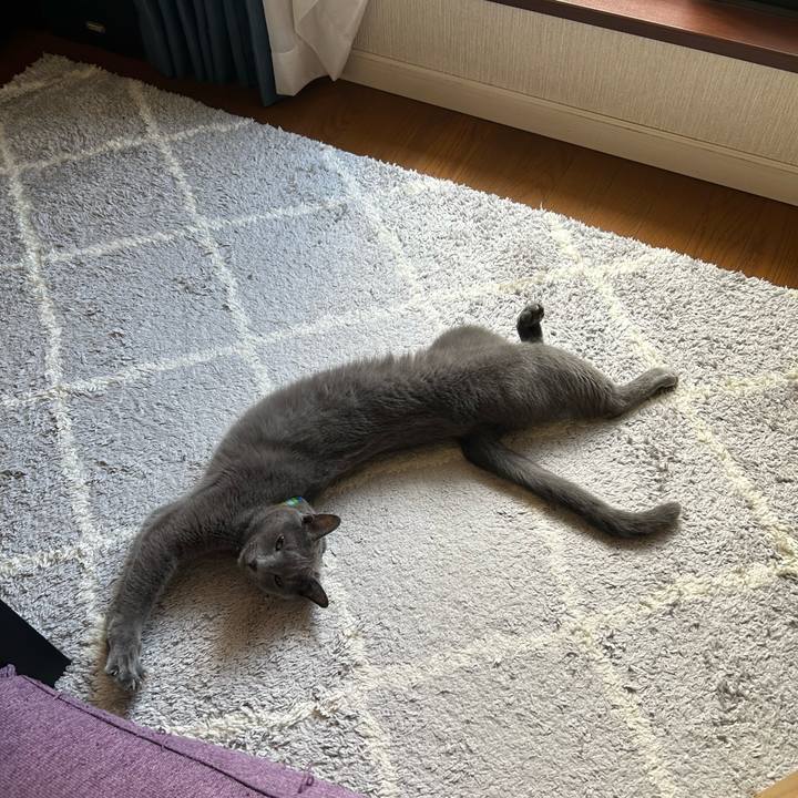 A598e473 7d5c 49c0 826f 392ad22c1c7f 1729659010523