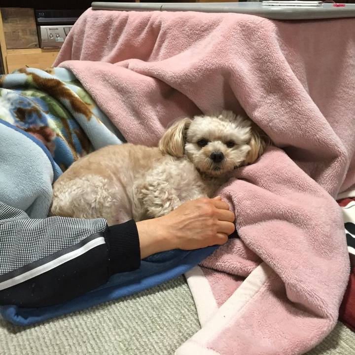 A59927e1 6473 49b7 bc35 3d667acac54e 1542412052344