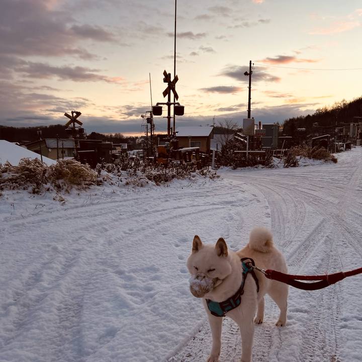 A5993d61 3db1 46f7 8da9 b699f89907d0 1733350028892