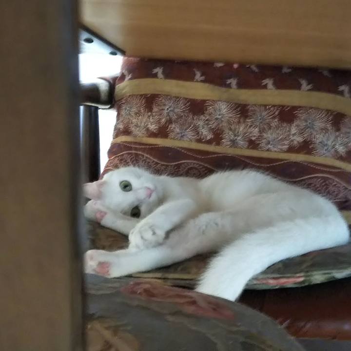 A599a7e4 b5f8 49fe b5b5 58df00e67ea5 1662418788628