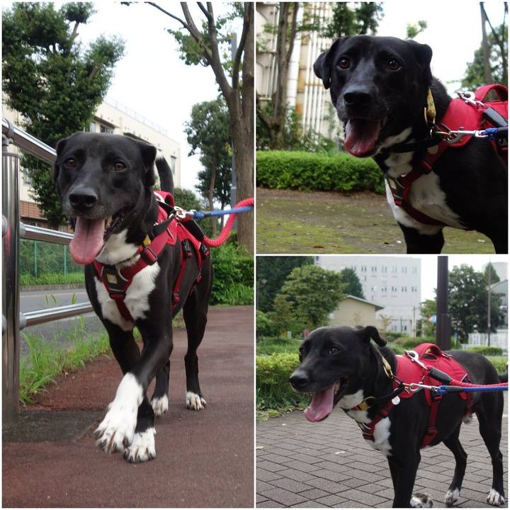 A599ce64 c32d 41b2 ab9f 2ae722bf4292 1596413172320