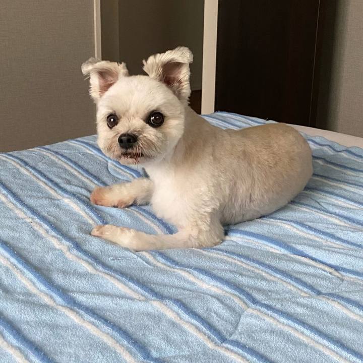 A599ced5 fb3a 45de 976b b4632b1f221b 1695454336492