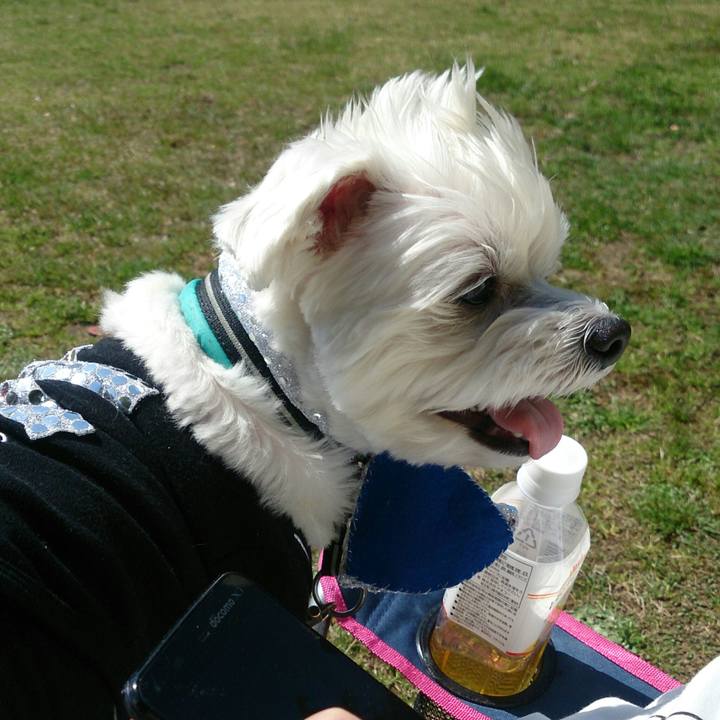 A599eab4 16ea 4dc4 8af2 d6ffb2ad6905 1521631642926