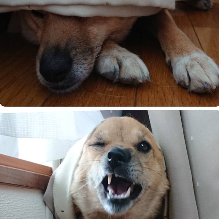 A59a0658 5456 4025 a5d5 da4f7411826c 1594545158329