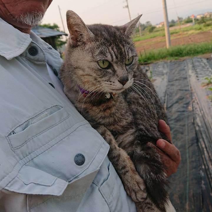 A59a2198 29d0 4ac1 82f4 80f469ec863d 1591301387379