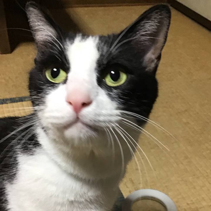 A59a57cc f676 4b21 b5df d7ad836a730c 1751027197614