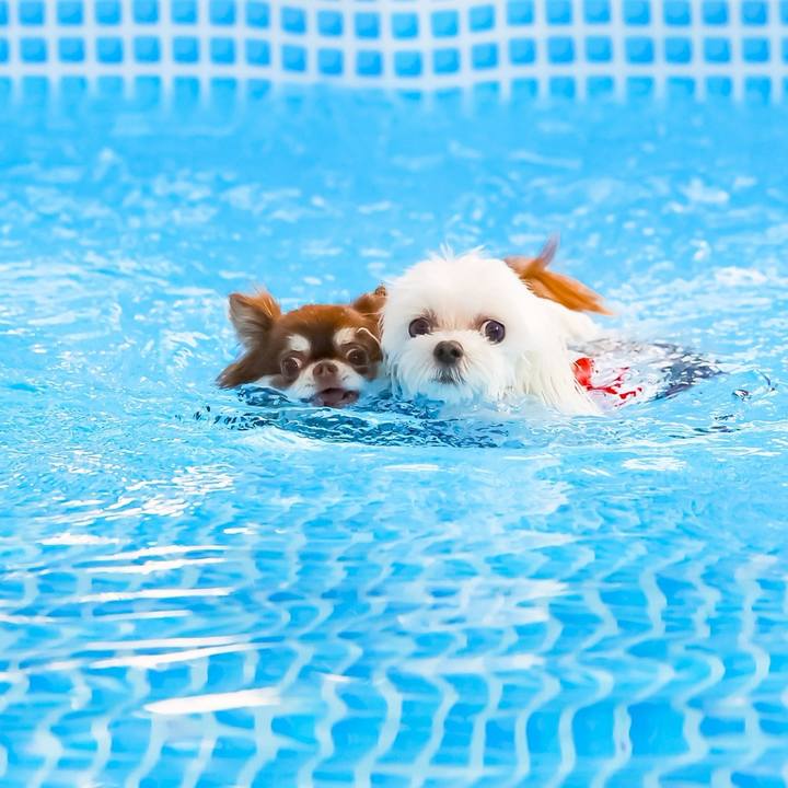 A59a7f6f 407c 4204 b1be af857b83ef7a 1757286048165