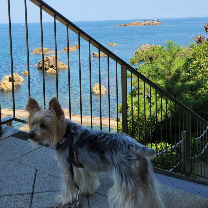 A59a8f8c a2b9 4136 b77a b0fdbdd1a9ca 1725626200256