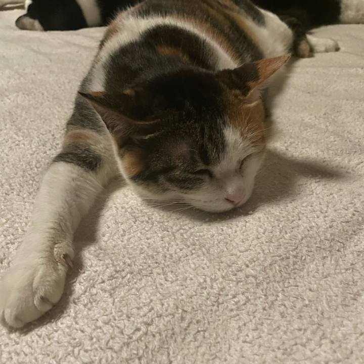 A59ab001 cd7c 4732 910e 164fd45d3ae3 1643657145715