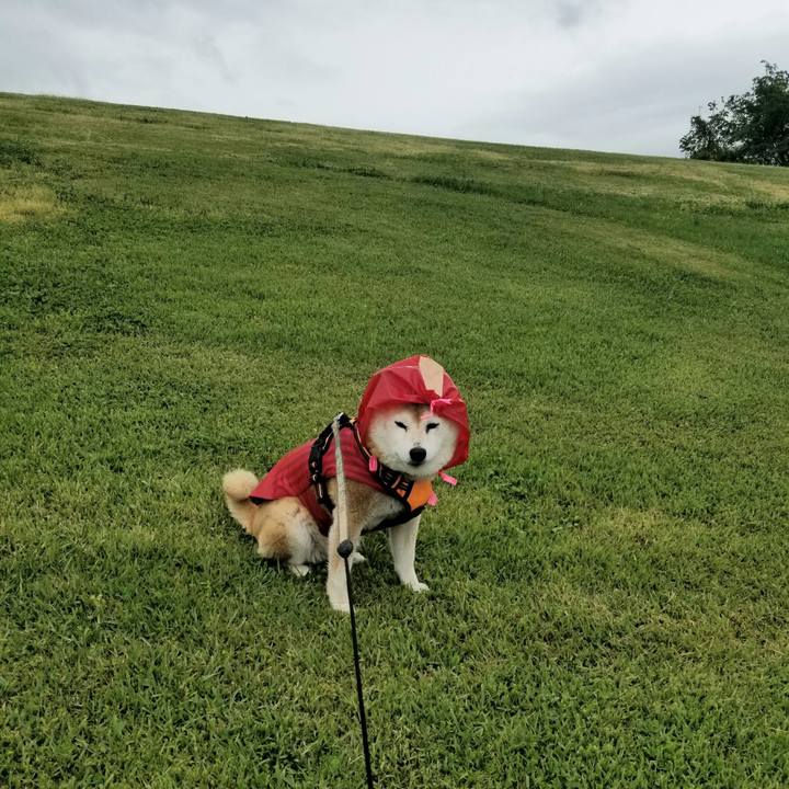 A59ab042 64d8 45e0 8686 ea76c94eec2d 1715580761991