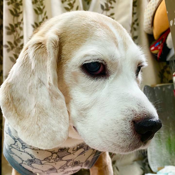 A59ad424 a1c5 49c6 bc06 08e449008861 1666075168547