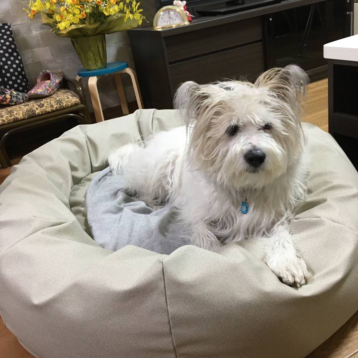 A59b4040 a5c6 443e a9d9 32a428b03f30 1608808707831