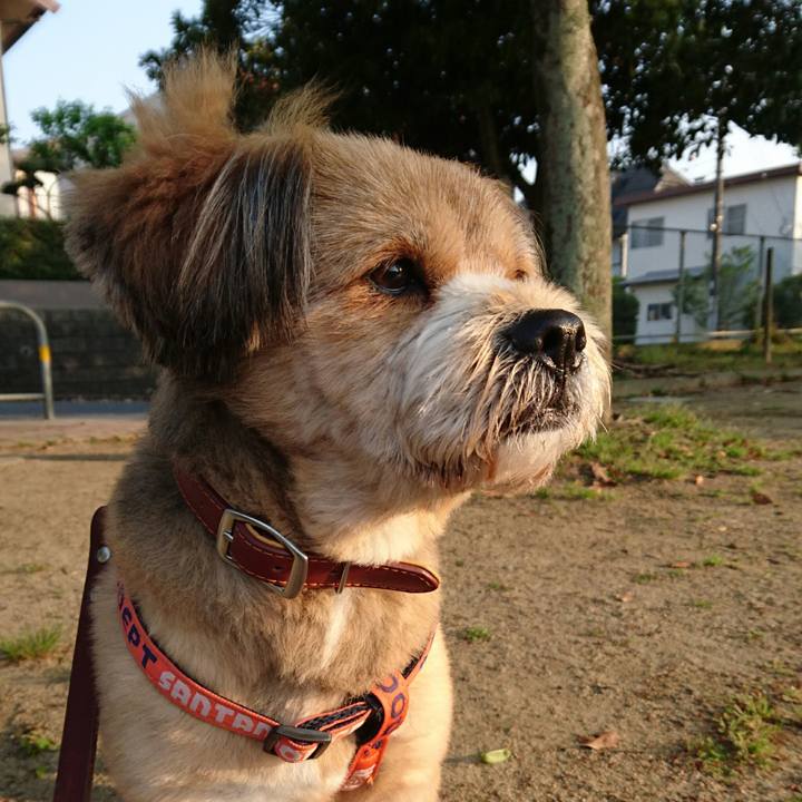 A59b6895 30da 4110 a3e8 a5ac623b171d 1524867326563