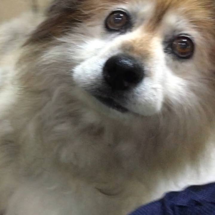 A59b8ac0 57e1 4f63 a757 c3d27a486663 1575626878459