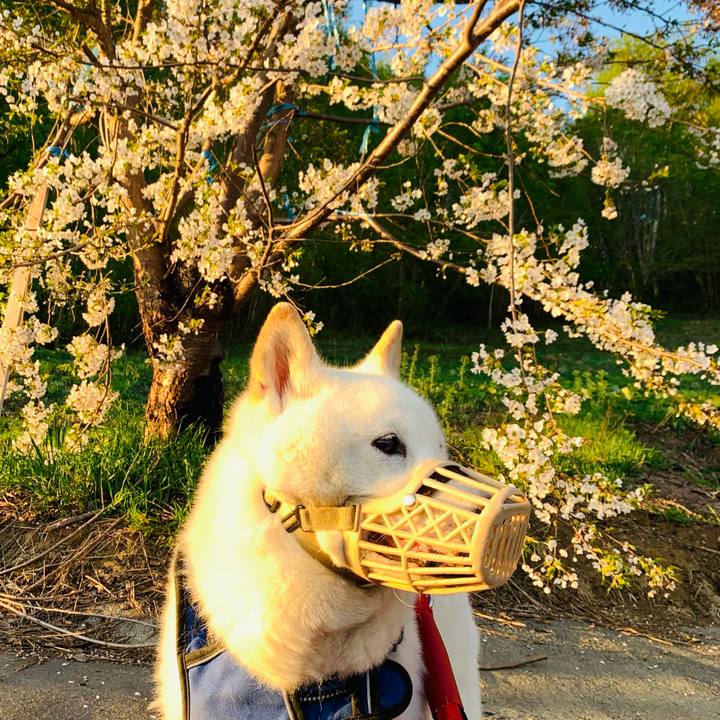 A59b9f41 646e 433f b904 8e55cb484419 1652214413318