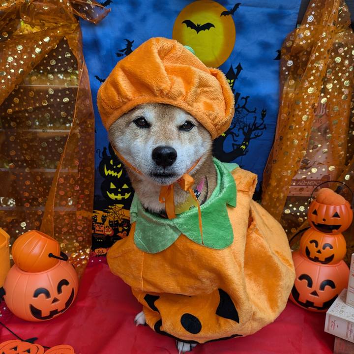 A59bb21f 6482 4563 82d3 ee60d7b69c8e 1730461615801