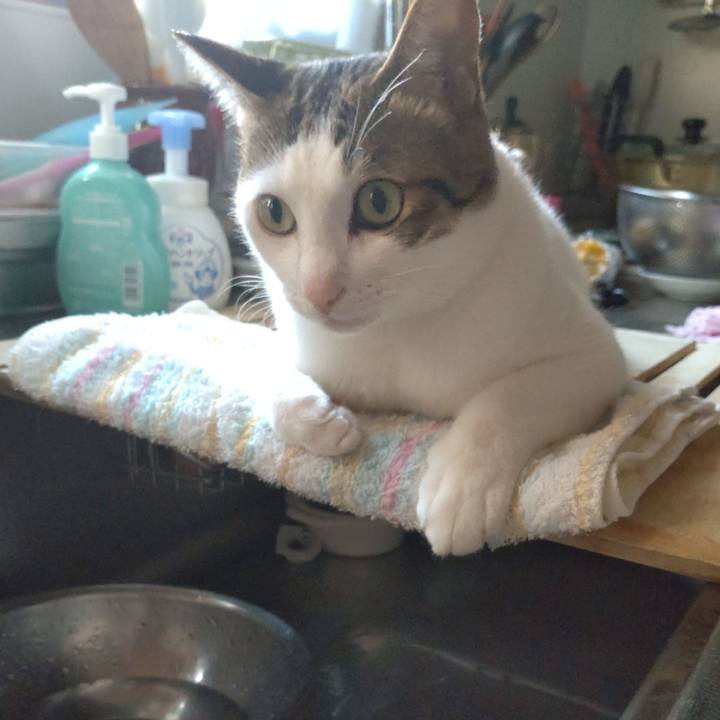 A59bd8bd 6118 4c96 989c d1ed0c560842 1690369981181